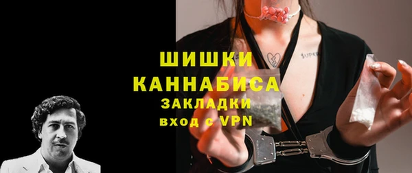 твердый Новозыбков
