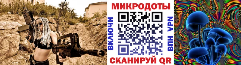 Галлюциногенные грибы мухоморы  Чаплыгин 